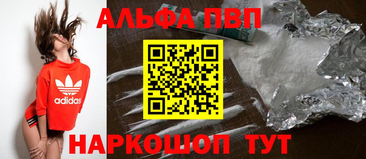 A PVP СК КРИС Каменка
