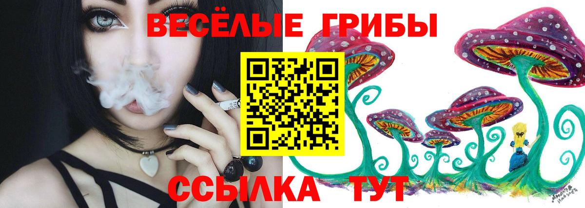 Галлюциногенные грибы Cubensis Каменка